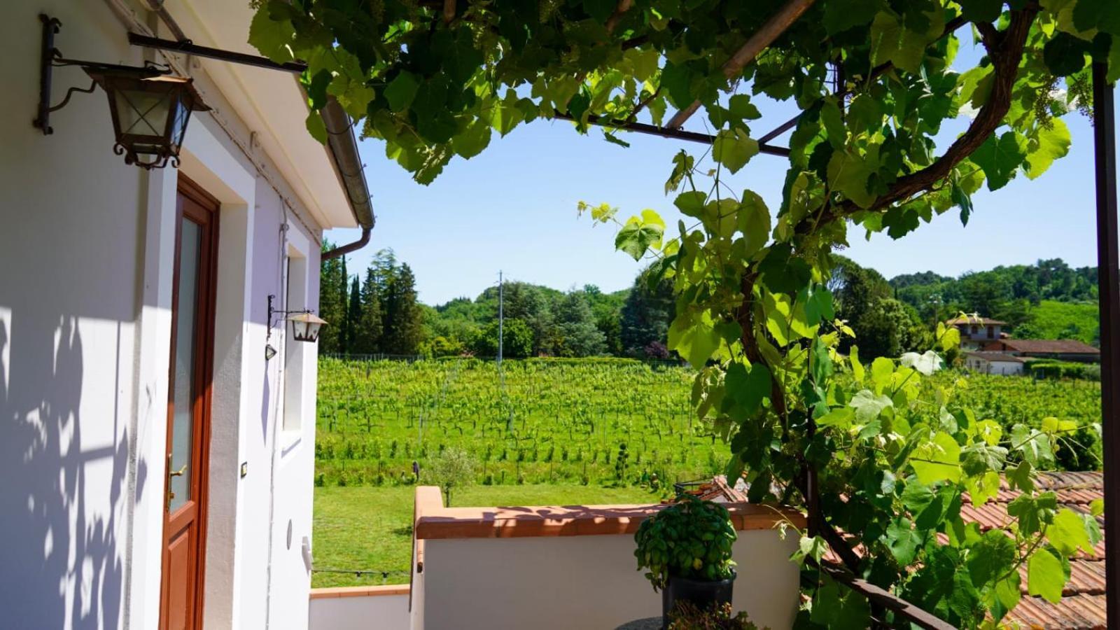 Wine House Bed & Breakfast Capannori Eksteriør bilde