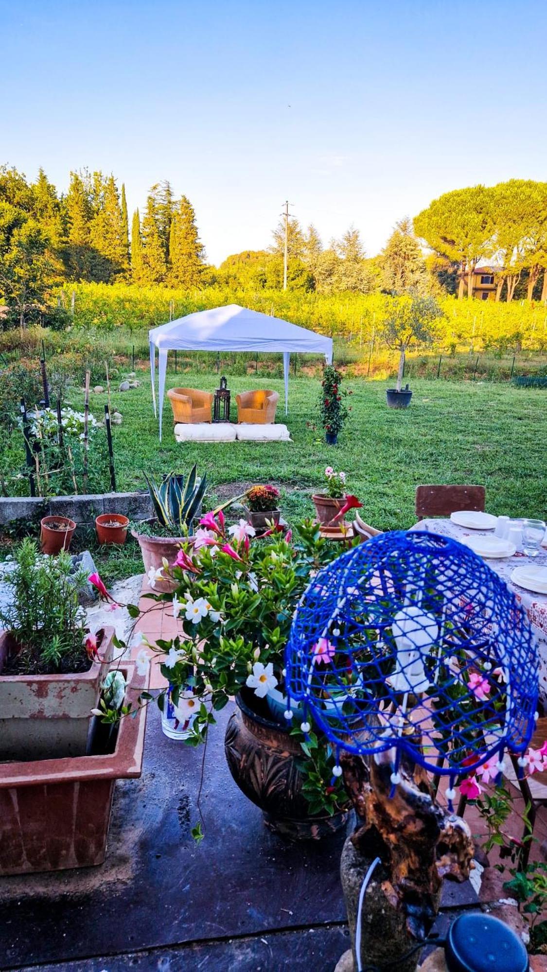 Wine House Bed & Breakfast Capannori Eksteriør bilde