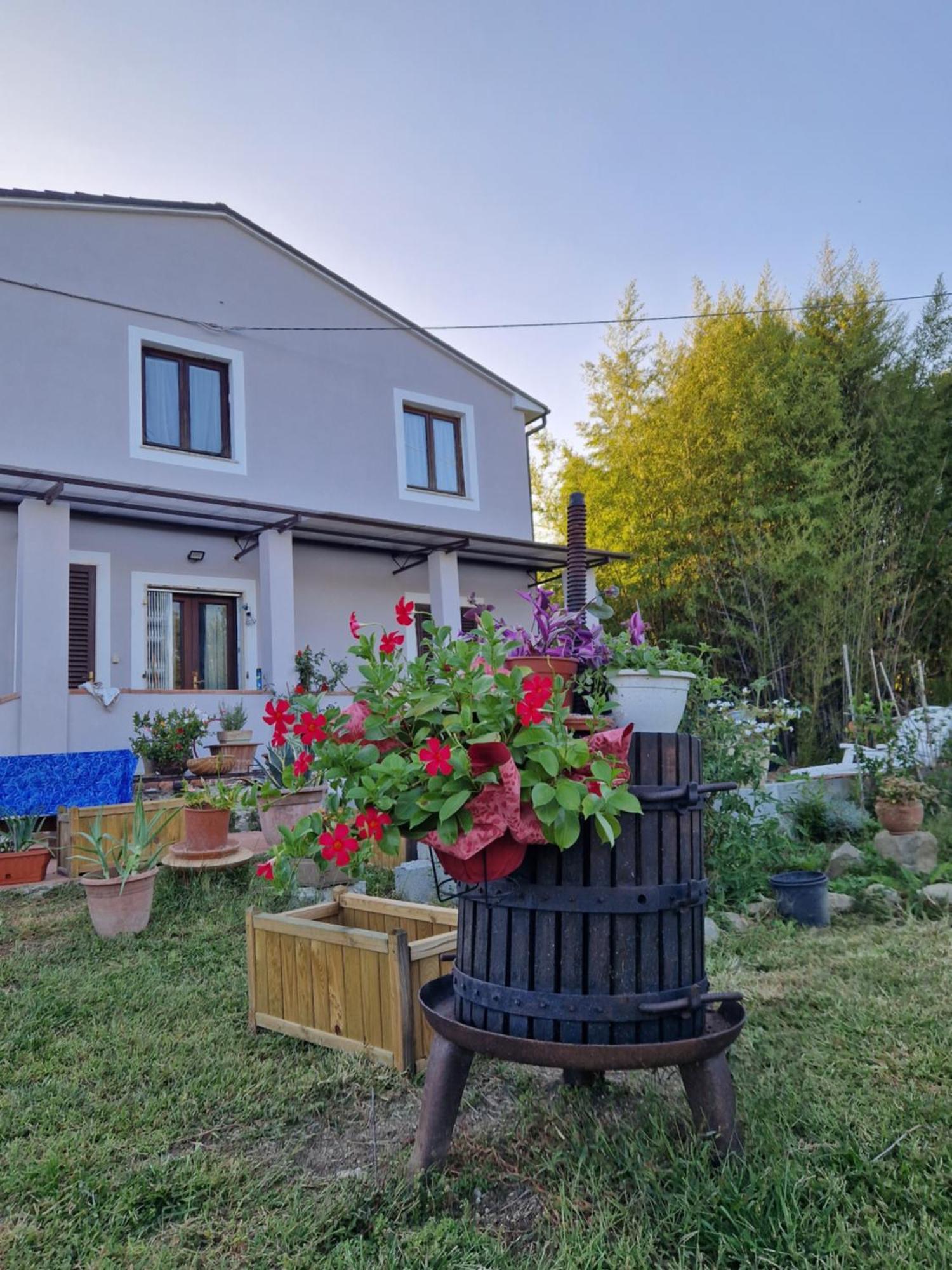 Wine House Bed & Breakfast Capannori Eksteriør bilde